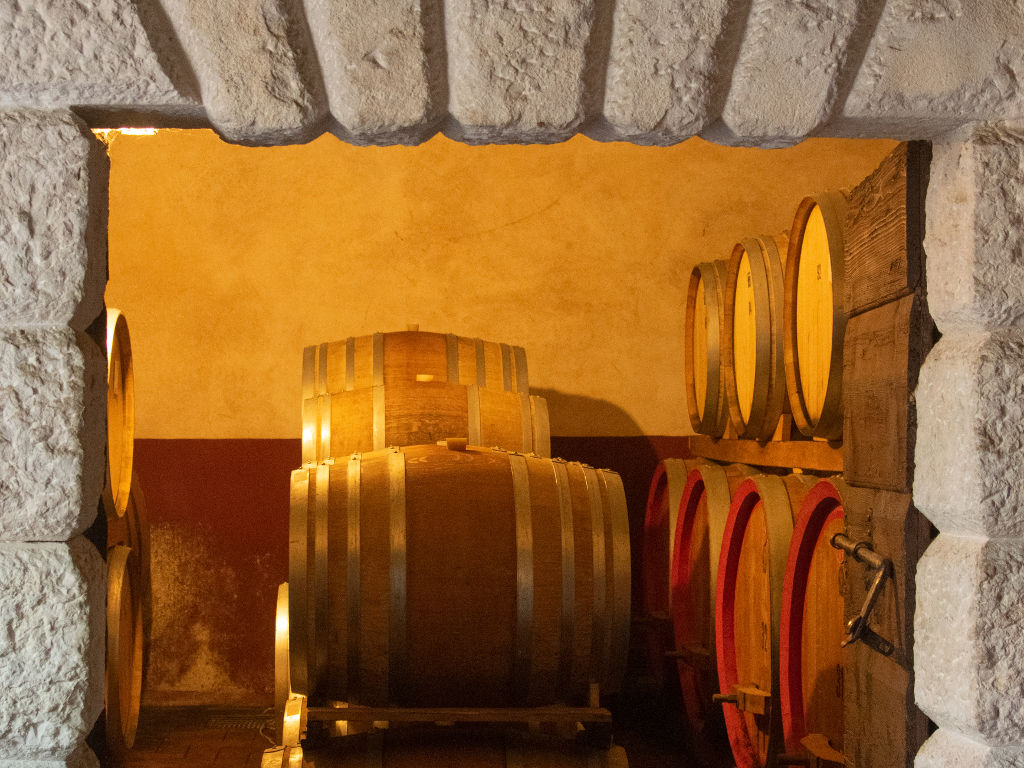 degustazione Amarone con visita guidata